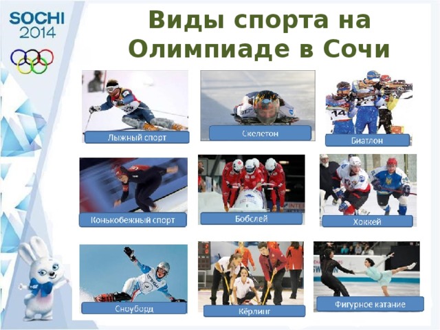 Виды спорта на Олимпиаде в Сочи 