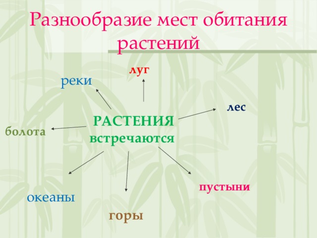 Разнообразие мест обитания растений     РАСТЕНИЯ встречаются луг реки лес болота пустыни океаны горы 