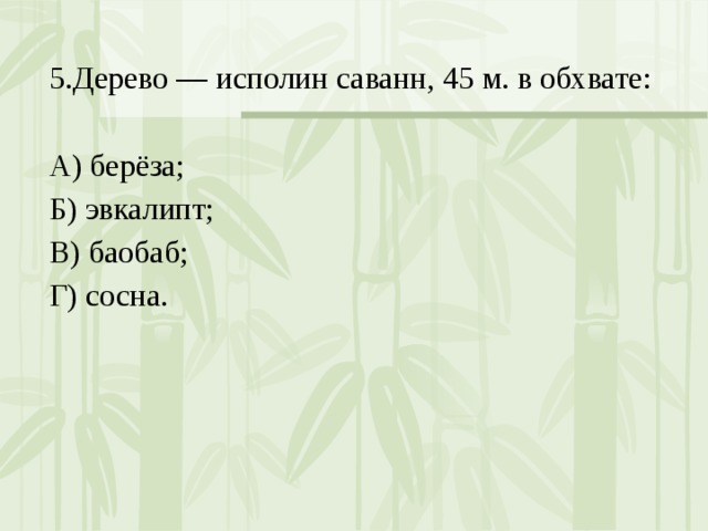 5.Дерево — исполин саванн, 45 м. в обхвате: А) берёза; Б) эвкалипт; В) баобаб; Г) сосна. 
