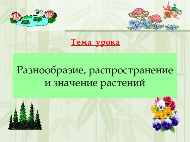 Тема урока Разнообразие, распространение и значение растений 