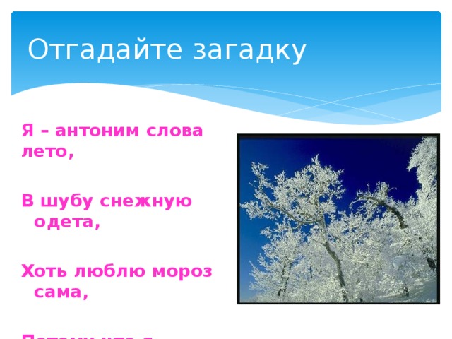 Отгадайте загадку Я – антоним слова лето,  В шубу снежную одета,  Хоть люблю мороз сама,  Потому что я …     