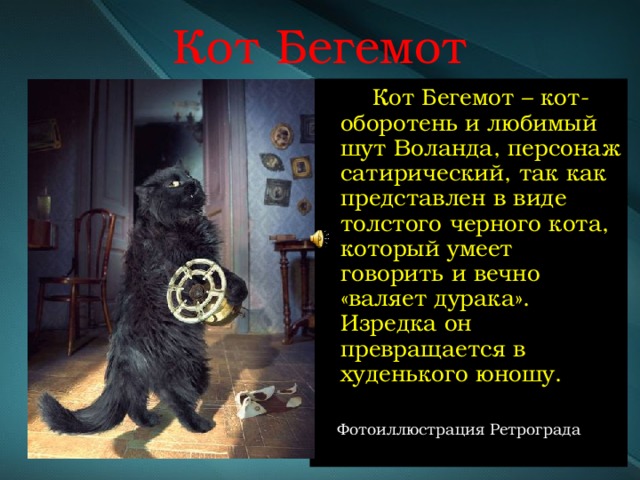 Страшные истории кот бегемот
11
