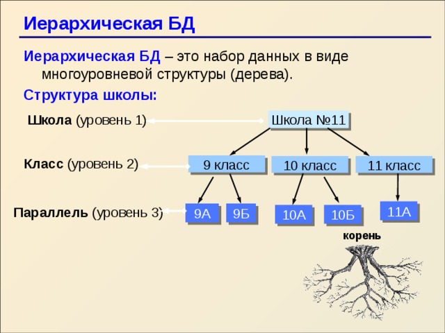 База данных 11 класс. Иерархическая структура дерево. Иерархическая структура школы. Иерархическая структура (дерево данных). Иерархическая модель школы.