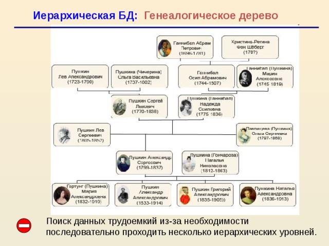 Иерархическая БД: Генеалогическое дерево Поиск данных трудоемкий из-за необходимости последовательно проходить несколько иерархических уровней.   