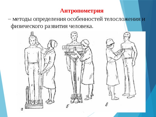  Антропометрия – методы определения особенностей телосложения и физического развития человека. 