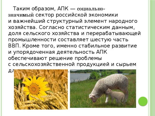  Таким образом, АПК —  социально-значимый  сектор российской экономики и важнейший структурный элемент народного хозяйства. Согласно статистическим данным, доля сельского хозяйства и перерабатывающей промышленности составляет шестую часть ВВП. Кроме того, именно стабильное развитие и упорядоченная деятельность АПК обеспечивают решение проблемы с сельскохозяйственной продукцией и сырьем для промышленности. 