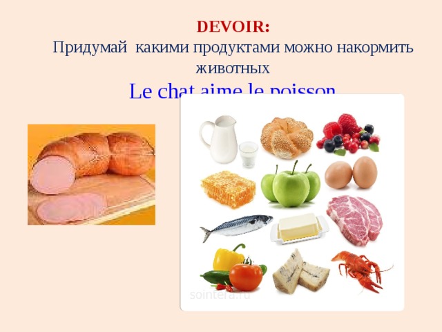     DEVOIR:  Придумай какими продуктами можно накормить животных  Le chat aime le poisson   