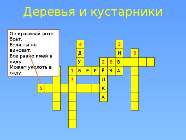 Деревья и кустарники Он красивой розе брат,  Если ты не виноват,  Все равно имей в виду,  Может уколоть в саду.  4 6 5 Д 1 У Б 7 Е Р 2 3 8 Ё И З В Л А 9 К А 