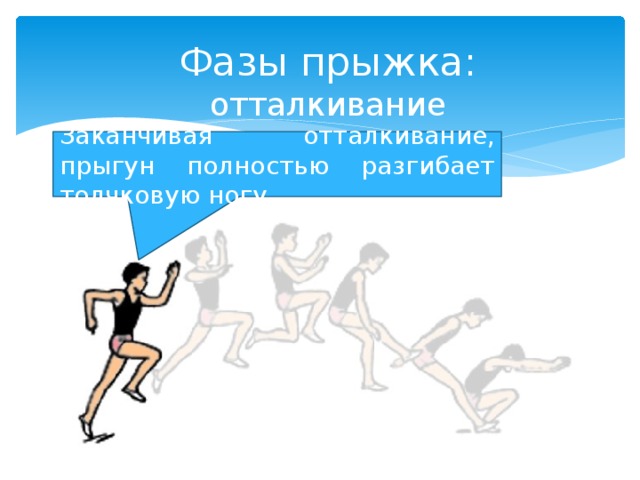Фазы прыжка: отталкивание Заканчивая отталкивание, прыгун полностью разгибает толчковую ногу. 