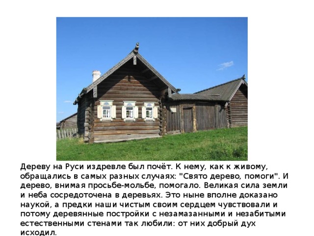 Дереву на Руси издревле был почёт. К нему, как к живому, обращались в самых разных случаях: 