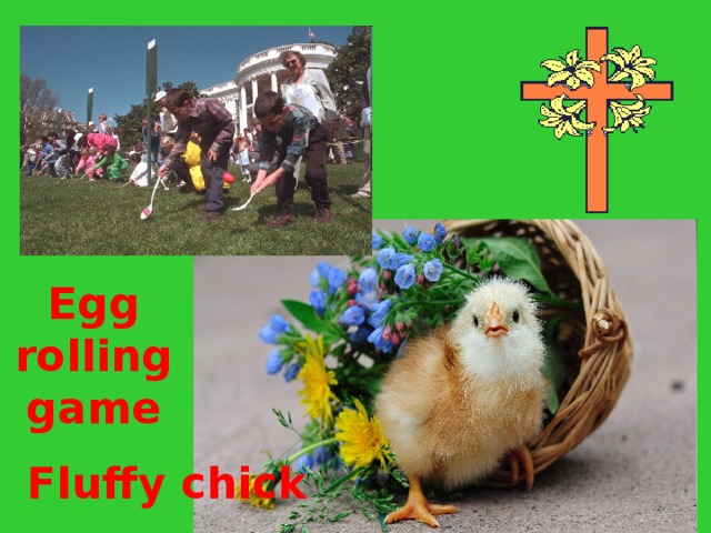 Egg rolling game Fluffy chick 