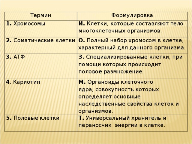 Термин Формулировка 1. Хромосомы И.  Клетки, которые составляют тело многоклеточных организмов.  2. Соматические клетки О.  Полный набор хромосом в клетке, характерный для данного организма. 3. АТФ З.  Специализированные клетки, при помощи которых происходит полово е  размножение. 4 . Кариотип М.  Органоиды клеточного ядра, совокупность которых определяет основные наследственные свойства клеток и организмов. 5. Половые клетки Т. Универсальный хранитель и переносчик энергии в клетке.