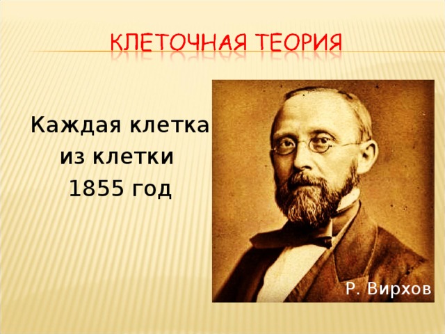 Каждая клетка из клетки  1855 год Р. Вирхов