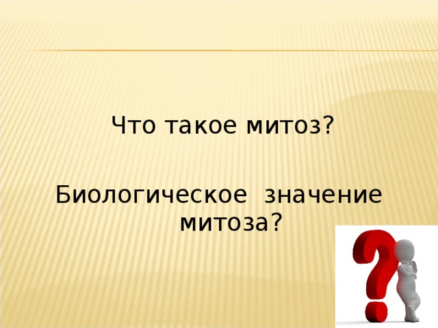 Что такое митоз? Биологическое значение митоза?