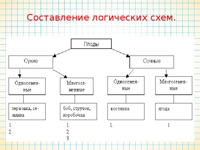 Схема показывающая последствия уничтожения одного конкретного вида растений или животных