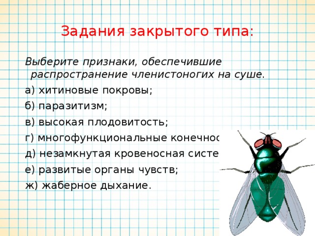 Тест по биологии членистоногие. Распространение членистоногих. Признаки обеспечивающие распространение членистоногих на суше. Признаки распределения членистоногих. Признаки обеспечивающие распределения членистоногих.