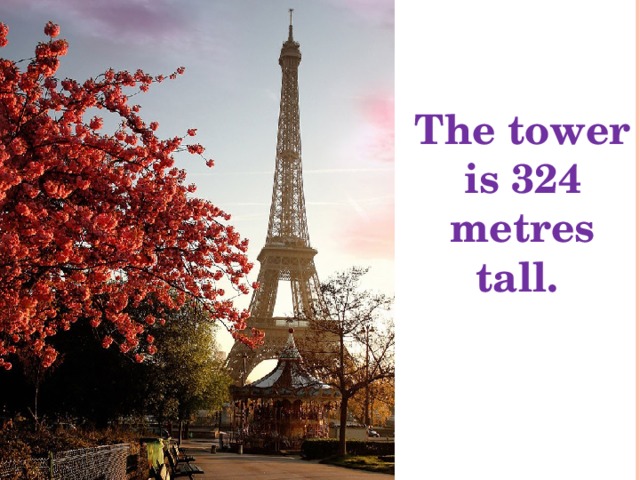 The tower is 324 metres tall.