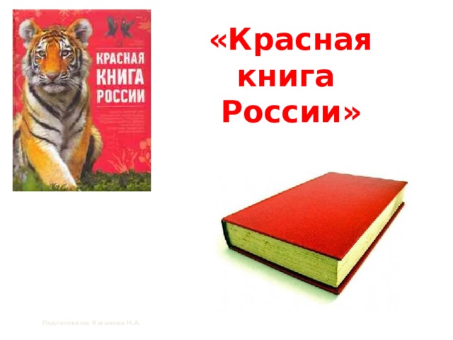 «Красная книга  России»   Подготовила: Ваганова Н.А. 