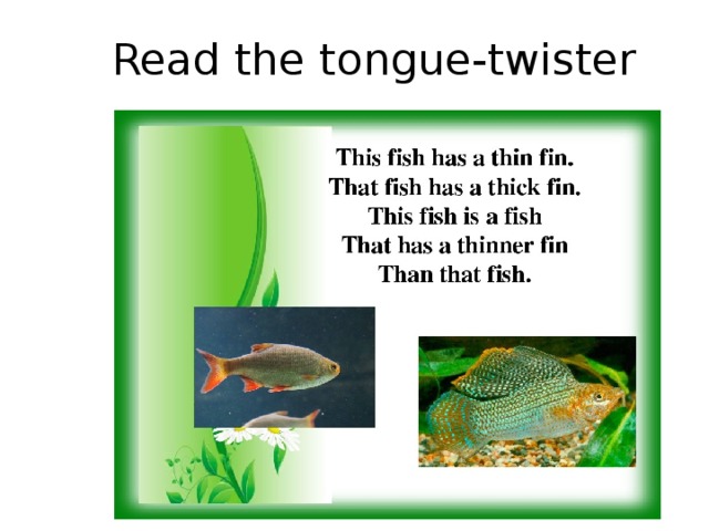 This fish has. This Fish has a thin fin that Fish has a thick fin. Read the tongue Twisters. Tongue Twisters this Fish has a thin fin. Tongue Twister Fish.