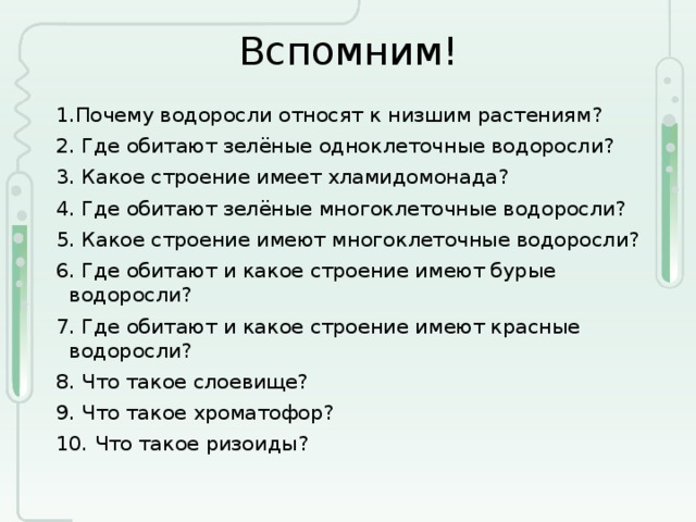 Вспомним! 1.Почему водоросли относят к низшим растениям? 2. Где обитают зелёные одноклеточные водоросли? 3. Какое строение имеет хламидомонада? 4. Где обитают зелёные многоклеточные водоросли? 5. Какое строение имеют многоклеточные водоросли? 6. Где обитают и какое строение имеют бурые водоросли? 7. Где обитают и какое строение имеют красные водоросли? 8. Что такое слоевище? 9. Что такое хроматофор? 10. Что такое ризоиды? 