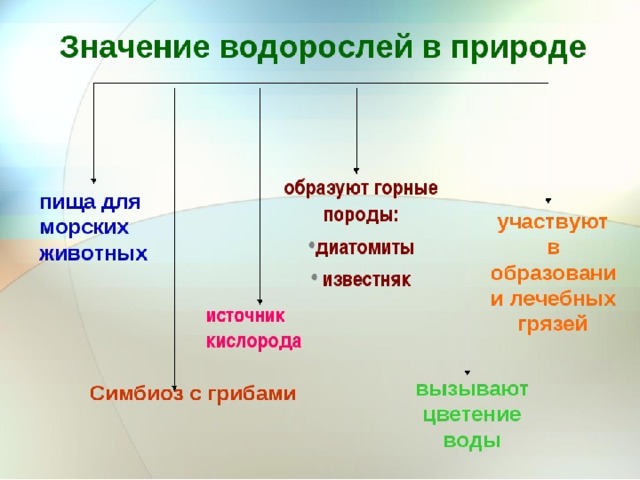 Проект диффузия в природе и жизни человека