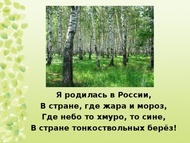 Я родилась в России, В стране, где жара и мороз, Где небо то хмуро, то сине, В стране тонкоствольных берёз!  