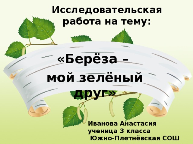 Исследовательская  работа на тему: «Берёза – мой зелёный друг» Иванова Анастасия ученица 3 класса  Южно-Плетнёвская СОШ 