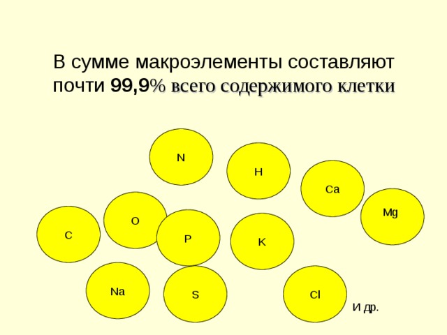 В сумме макроэлементы составляют почти 99,9 % всего содержимого клетки   N H Ca О Mg C P K Na Cl S И др. 