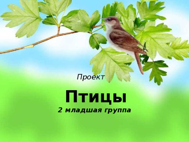 Проект      Птицы  2 младшая группа 