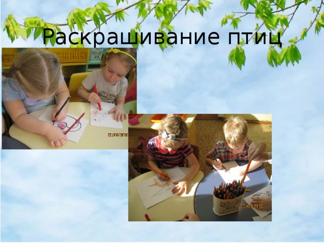 Раскрашивание птиц 