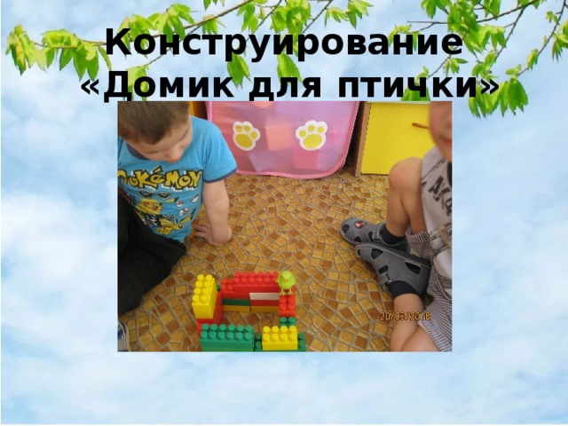 Конструирование  «Домик для птички» 