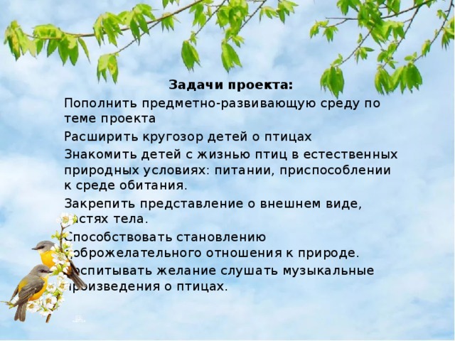 Цель птицы. Вывод о перелетных птицах. Перелетные птицы проект задачи. Актуальность проекта перелетные птицы. Цель проекта перелетные птицы.