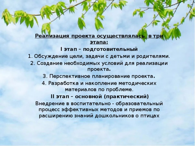 Реализация проекта осуществлялась в три этапа: I этап – подготовительный 1. Обсуждение цели, задачи с детьми и родителями. 2. Создание необходимых условий для реализации проекта . 3. Перспективное планирование проекта . 4. Разработка и накопление методических материалов по проблеме.   II этап – основной (практический) Внедрение в воспитательно - образовательный процесс эффективных методов и приемов по расширению знаний дошкольников о птицах 