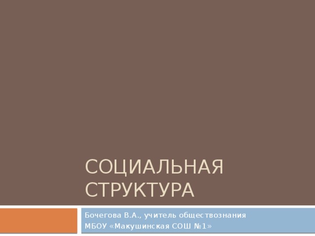 Социальная структура Бочегова В.А., учитель обществознания МБОУ «Макушинская СОШ №1» 