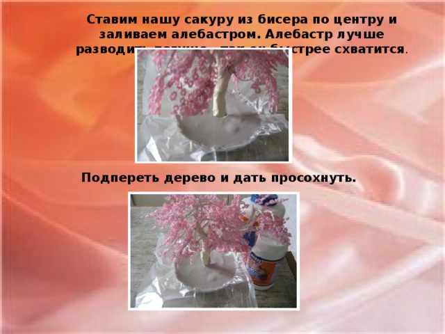 Ставим нашу сакуру из бисера по центру и заливаем алебастром. Алебастр лучше разводить погуще, так он быстрее схватится .  Подпереть дерево и дать просохнуть.
