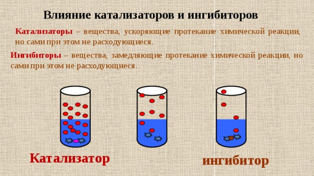Мой университет -www.moi-mummi.ru Влияние катализаторов и ингибиторов Катализаторы – вещества, ускоряющие протекание химической реакции, но сами при этом не расходующиеся. Ингибиторы – вещества, замедляющие протекание химической реакции, но сами при этом не расходующиеся. Катализатор ингибитор