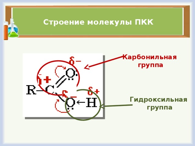 Строение молекулы ПКК Карбонильная группа Гидроксильная  группа