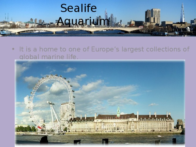  Sealife Aquarium It is a home to one of Europe’s largest collections of global marine life. 