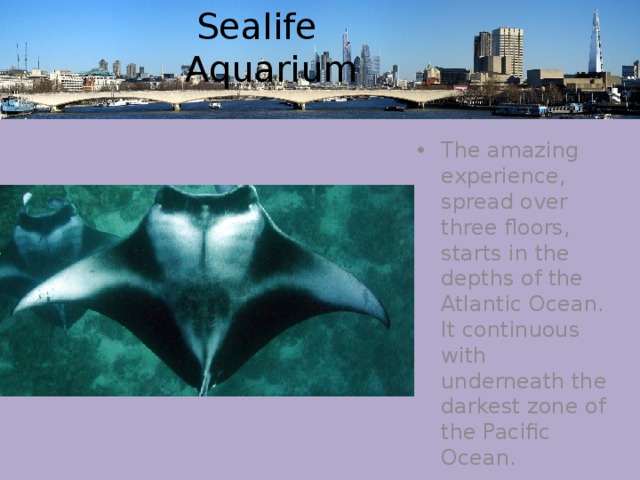  Sealife Aquarium The amazing experience, spread over three floors, starts in the depths of the Atlantic Ocean. It continuous with underneath the darkest zone of the Pacific Ocean. 