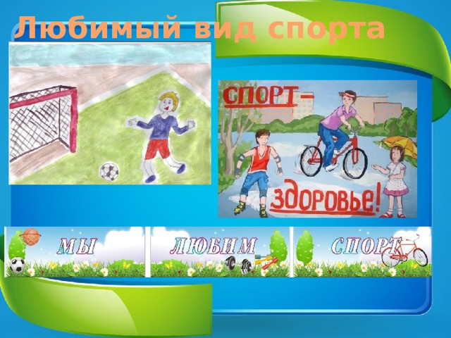 Любимый вид спорта 