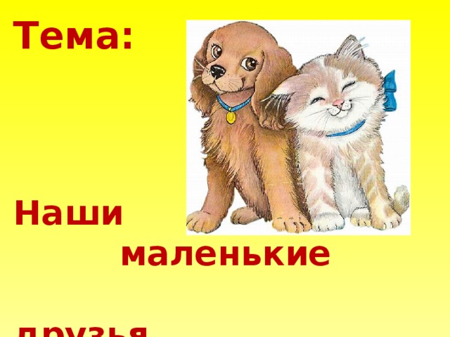 Тема:    Наши  маленькие  друзья