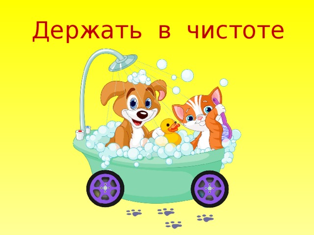 Держать в чистоте