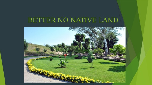  BETTER NO NATIVE LAND 