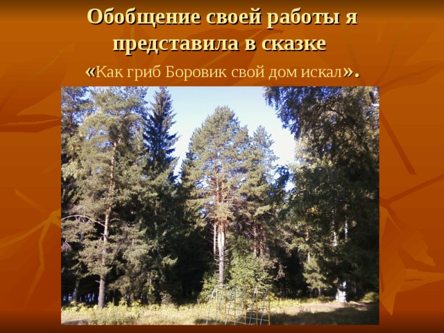 Обобщение своей работы я представила в сказке  « Как гриб Боровик свой дом искал ». 