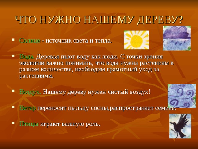 ЧТО НУЖНО НАШЕМУ ДЕРЕВУ? Солнце - источник света и тепла.  Вода. Деревья пьют воду как люди. С точки зрения экологии важно понимать, что вода нужна растениям в разном количестве, необходим грамотный уход за растениями.  Воздух. Нашему дереву нужен чистый воздух!  Ветер переносит пыльцу сосны,распространяет семена.  Птицы играют важную роль.  