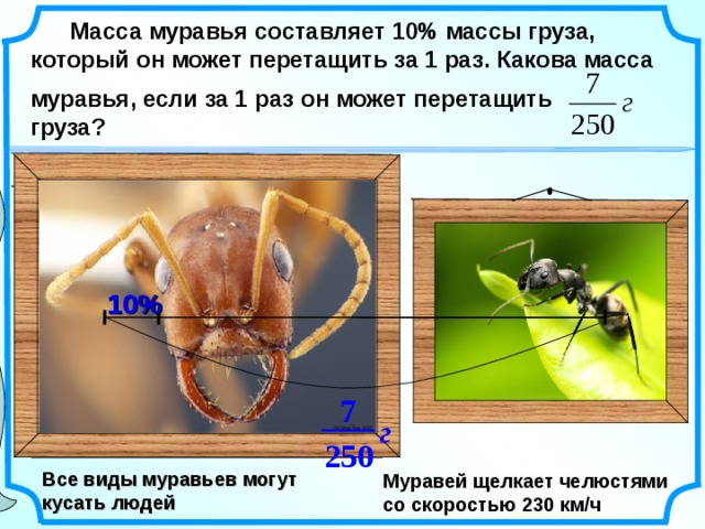 Увеличение в 1 1 раза. Вес муравья. Муравей и вес груза. Сколько весит муравей. Вес муравья в г.