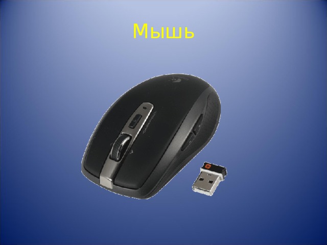 Мышь 