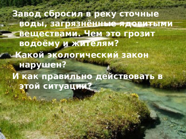 Завод сбросил в реку сточные воды, загрязнённые ядовитыми веществами. Чем это грозит водоёму и жителям?  Какой экологический закон нарушен? И как правильно действовать в этой ситуации? 