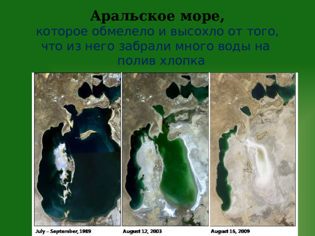 Аральское море,  которое обмелело и высохло от того, что из него забрали много воды на  полив хлопка 