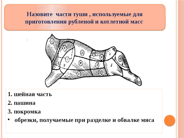 Какие части мяса. Часть говяжьей туши, используемая для приготовления котлетной массы:. Части туши используемые для приготовления мясной котлетной массы. Части мяса говядины используемые для приготовления рубленной массы. Части туши говядины для котлетной массы.